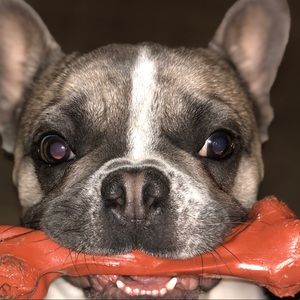 Meet your Posher, Rodney